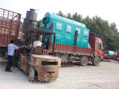 15吨燃气锅炉排行榜