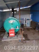 12吨燃气燃气锅炉
