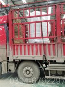 80万大卡立式燃气热水锅炉