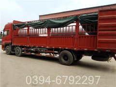 供热用燃气锅炉