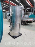 立式燃煤蒸汽锅炉厂家