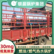 WNS12-1.25-QY冷凝蒸汽锅炉星空买球