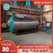 WNS20-1.25-QY燃气蒸汽锅炉星空买球