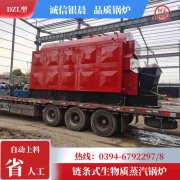 WNS20-1.25-QY三回程蒸汽锅炉星空买球