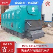 WNS0.7-1.0-QY液化气蒸汽锅炉星空买球