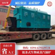 WNS0.3-0.7-QY冷凝蒸汽锅炉星空买球