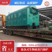 15吨燃气蒸汽锅炉星空买球