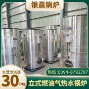 12吨天然气蒸汽锅炉太康银晨锅炉厂