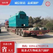 8吨环保蒸汽锅炉星空买球