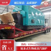 别墅用燃气锅炉