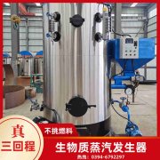 燃气锅炉燃气炉