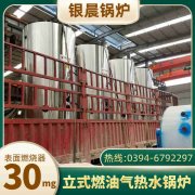 小型立式燃油蒸汽锅炉