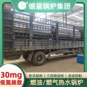 CWNS2.8-85/60-QY天然气热水锅炉