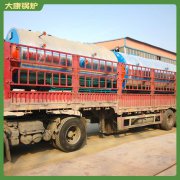 宁夏2t低氮锅炉